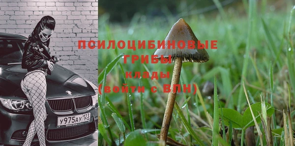 Альфа ПВП Абдулино
