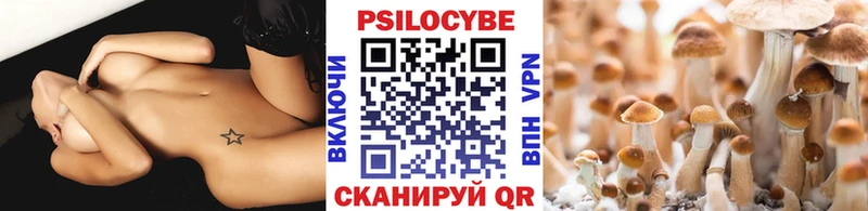Псилоцибиновые грибы Psilocybine cubensis  купить наркотики сайты  Ливны 